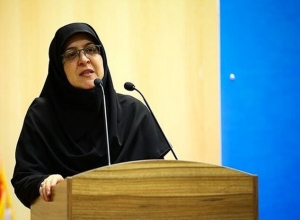 مهاجرانی: رئیس‌جمهوری تاکید کرده برق و گاز صنایع قطع نشود